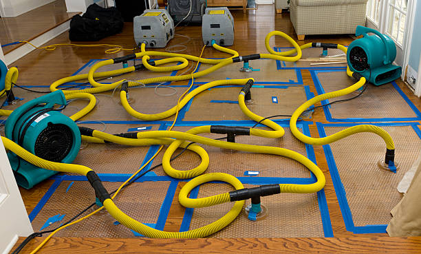 Professional Sewage Cleanup technician working in Carol Stream, IL